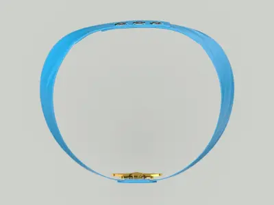 Medal of Honor Navy Worn 3D model