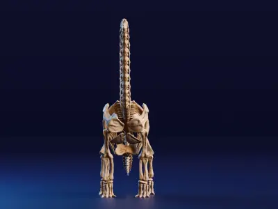 Realistic Ancient Reptilians Fossil - Brachiosaurus Low-poly 3D model