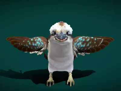 Kookaburra BIrd 3D model