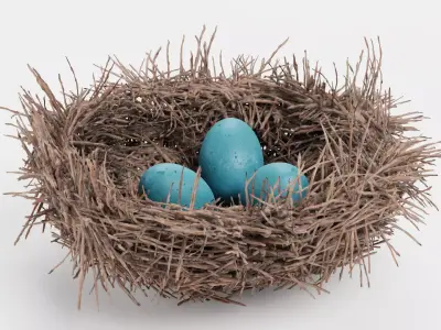 -Nest with Eggs- 3D model