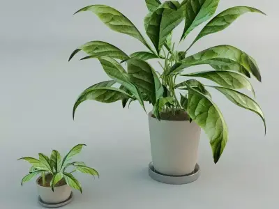 Flowers two potted plants Free 3D model