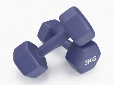 Plastic Fitness Dumbbells 3kg 3D model