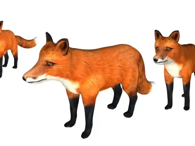 Red Fox Low-poly 3D model