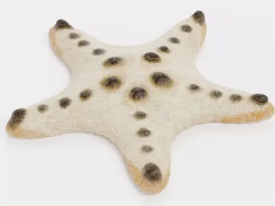 -Chocolate Chip Starfish -  3D model