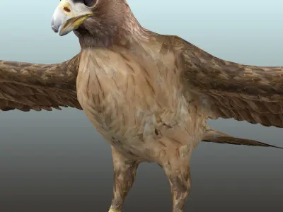 Golden Eagle  Low-poly 3D model