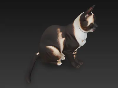 Cat Realistic 3D Model Basic - Low Poly Realistic Low-poly 3D model
