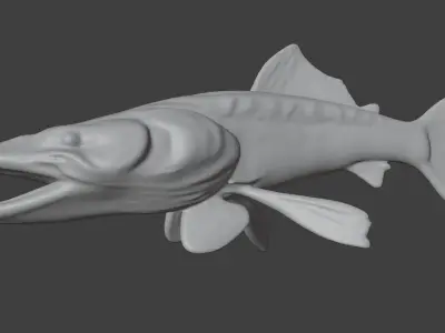 Trophy Fish Pike 2 3D model
