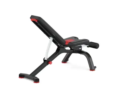 Bowflex Stowable Bench 3D model