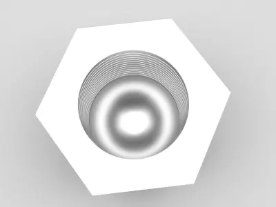 Hex Cap Nut 3D model