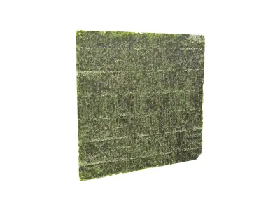 Nori v1 001 Low-poly 3D model