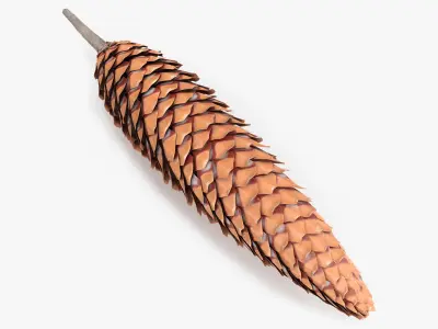 Opened Pine Seed Cone 3D model
