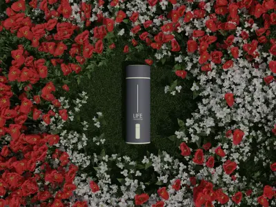Aluminium Bottle Free 3D model