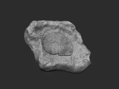 Ammonite Mineral Fossile - Realistic Printable and Keychain 3D print model