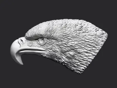 Eagle Head 3D print model