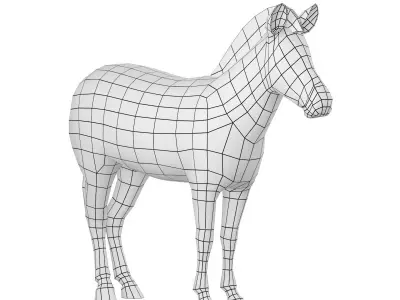 Zebra Animal Base Mesh 3D model
