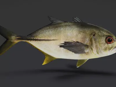 Giant Trevally Fish Animated 3D model