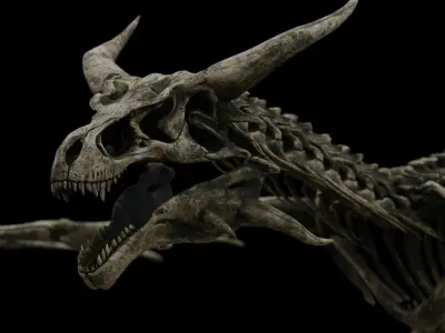 Dragon Wyvern Skeleton Low-poly 3D model