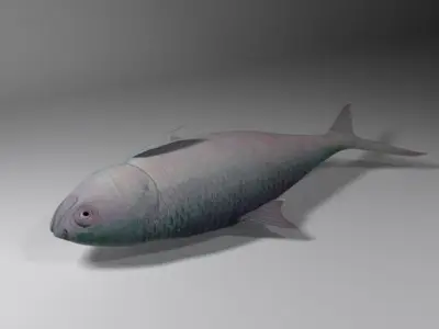 Hilsa fish Low-poly 3D model