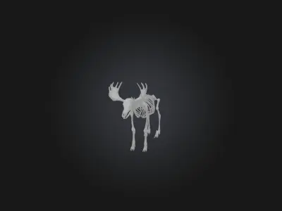 Realistic Moose Skeleton Model Low-poly 3D model