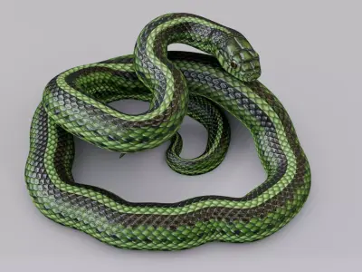 Rigged Green Snake Free 3D model