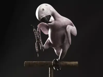 Realistic 3D model of Macaw with RIG and texture pack 3D model