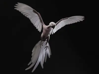 Realistic 3D model of Macaw with RIG and texture pack 3D model