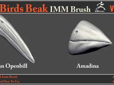 40 Birds Beak IMM Brush - Video How To Use 3D model