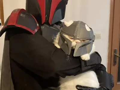 Mandalorian Cat Helmet 3D print model purchase