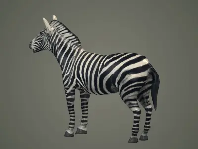 animals animal zebra horse land mammals plains mammal 3D model