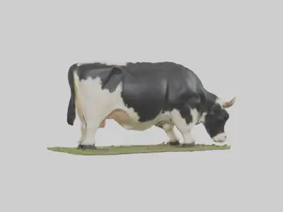 Galloway Cow grazing model 3D model