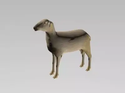 sheep LOW POLY 3D model