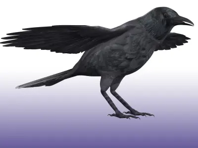 Crow Rig Low-poly 3D model