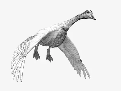 Canada Goose - rigged - animated 3D model