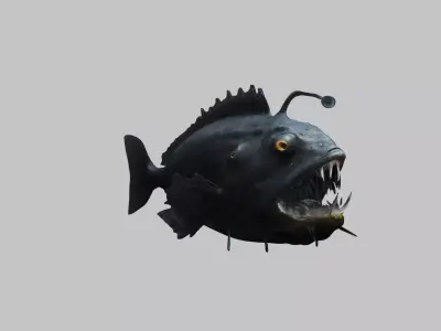 Black Humpback anglerfish Deep-sea fish Abyss Abyssal Low-poly 3D model