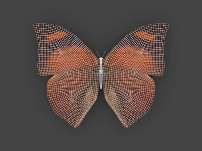BFLY-006 Butterfly 3D model