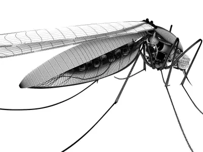 Mosquito robot bloodsucker 3D model
