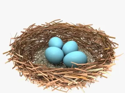 BirdsNest bird nest 3D model