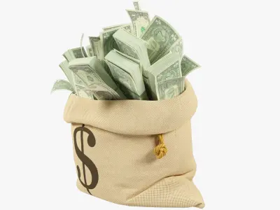 Money Bag V20 3D model