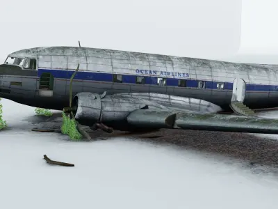 Wrecked Airplane with interior Low-poly 3D model