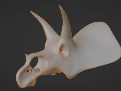 Triceratops skull 3D model