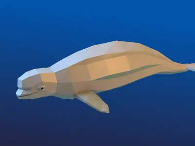 Beluga whale Low Polygon Animal Arctic sea ocean  Low-poly 3D model