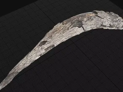 A piece of wood with bark 3d scan in highpoly 3D model