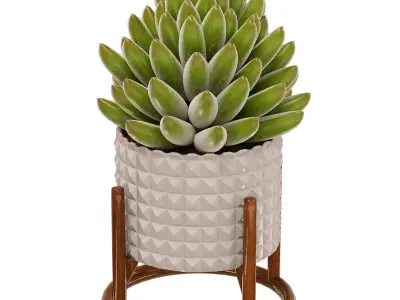 Decorative Set 011 3D model