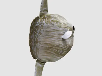Ocean sun fish Low-poly 3D model