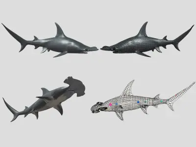 Big Fish Collection Animated - Game Ready Low-poly 3D model
