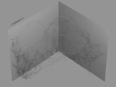Cobwebs Collection open door with spider webs 3D model