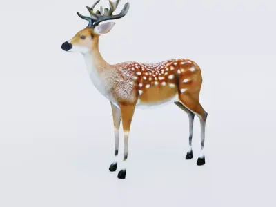 Deer Animal Free 3D model