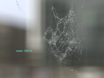 Spiderweb Bundle 3D model