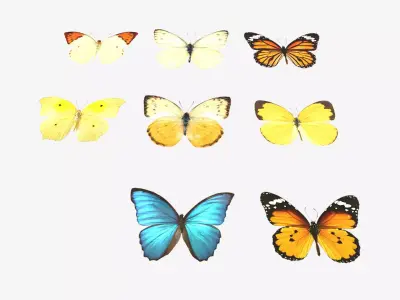 Butterflies butterfly Low-poly 3D model