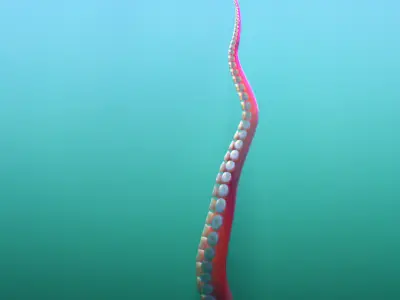 Tentacle Animation System Low-poly 3D model